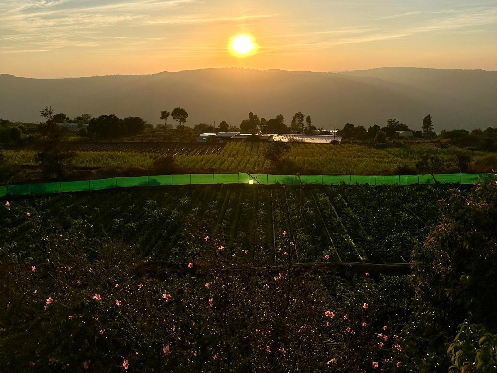 Hollywood Palace Resort Panchgani Exteriör bild